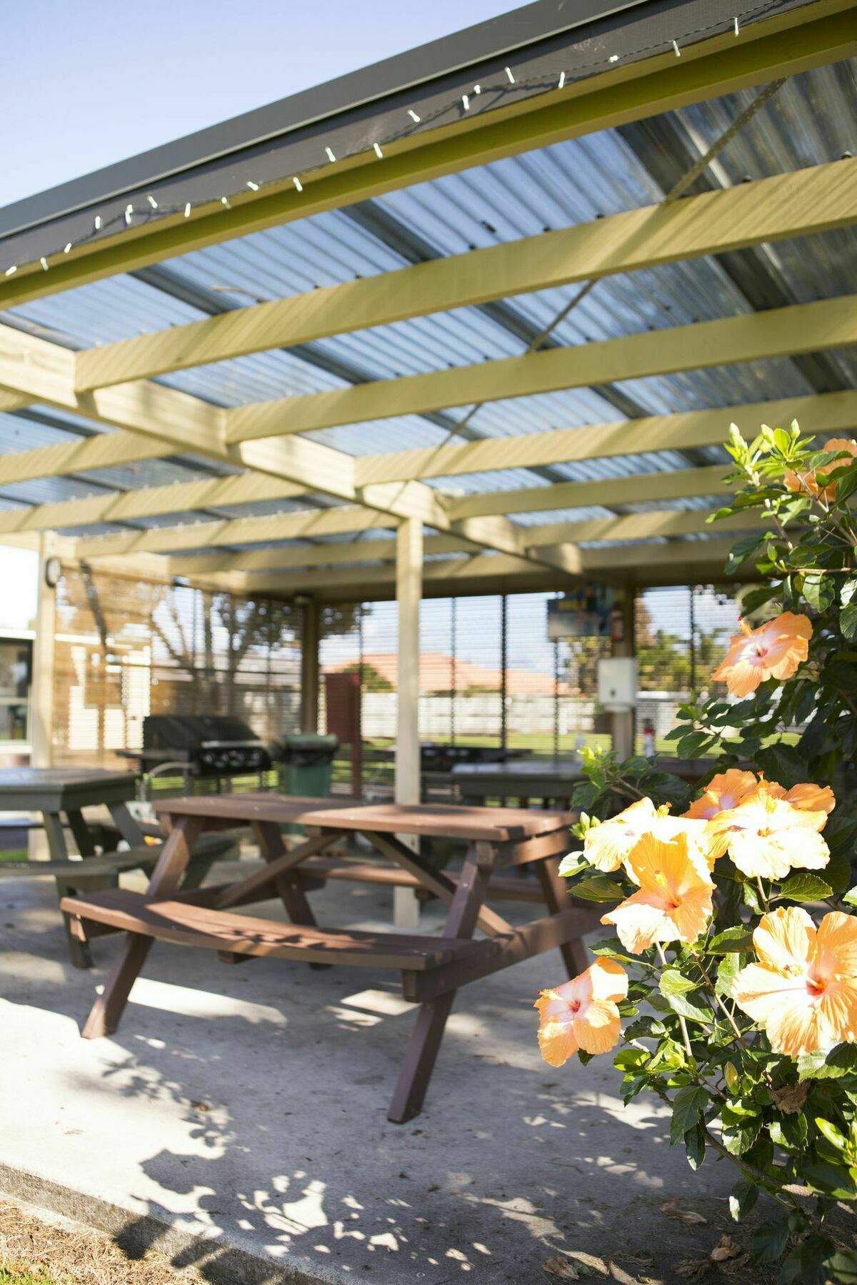 Mercury Bay Holiday Park Whitianga Exterior foto